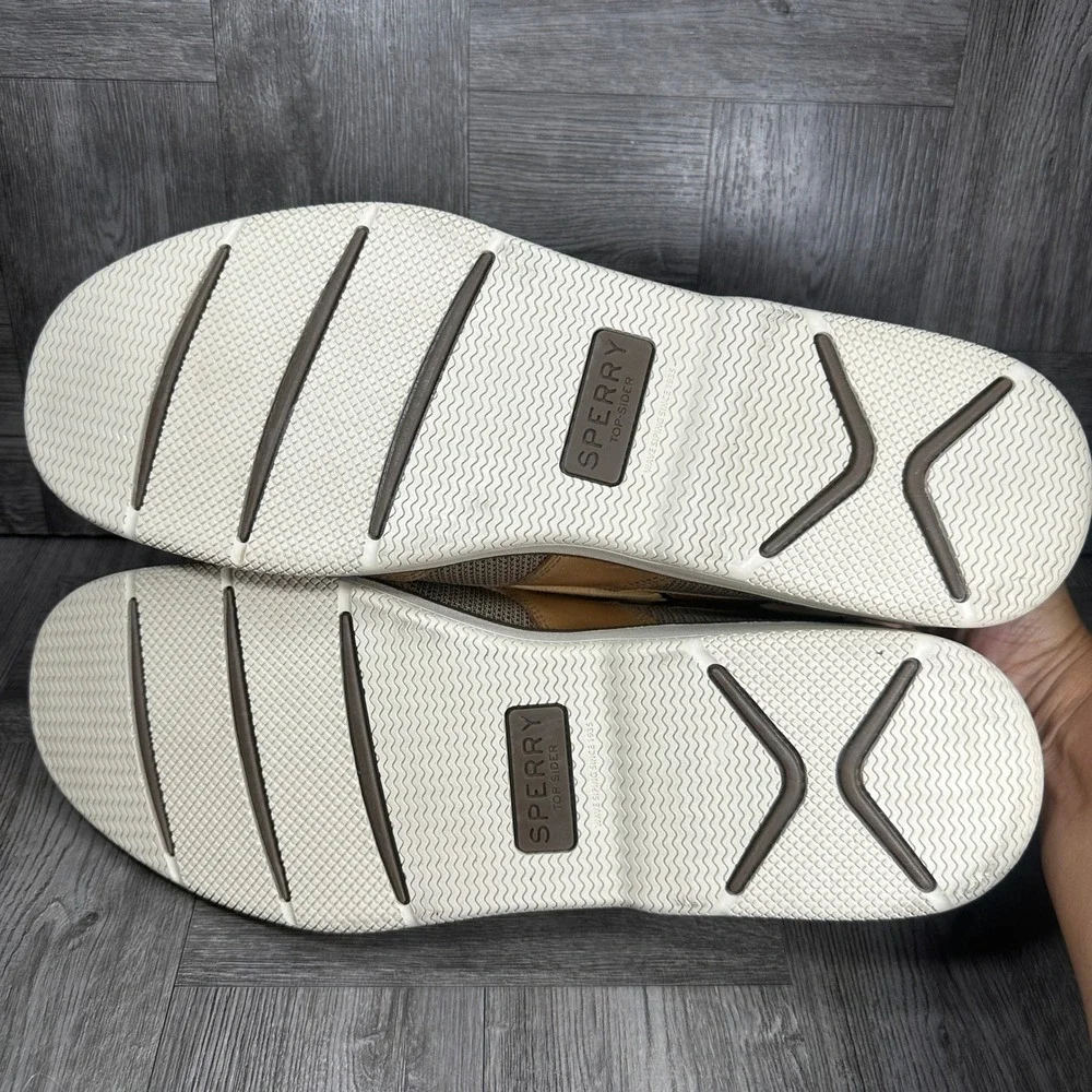 Sperry surveyor eye